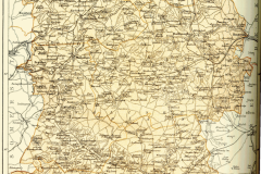 wilts